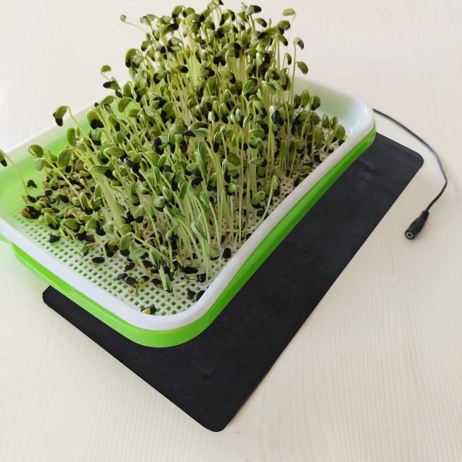 Tappetino riscaldante per pian - Seedling Heat Mat recensione e prezzo
