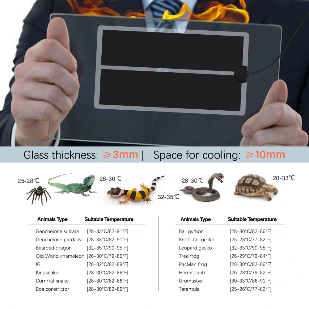 45W-5W 2/4/6H Timing Pet Tappe - Seedling Heat Mat recensione e prezzo